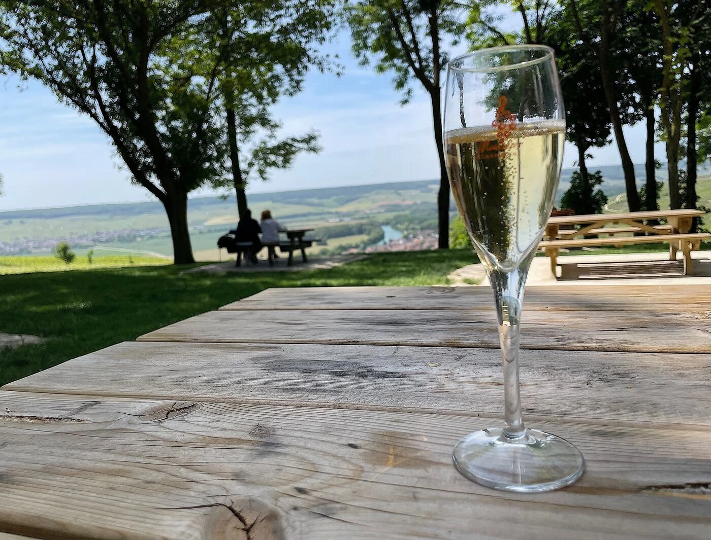Randonner ou déguster du champagne ? Avec la Randonnée pétillante de la Côte des Bar, pas besoin de choisir !