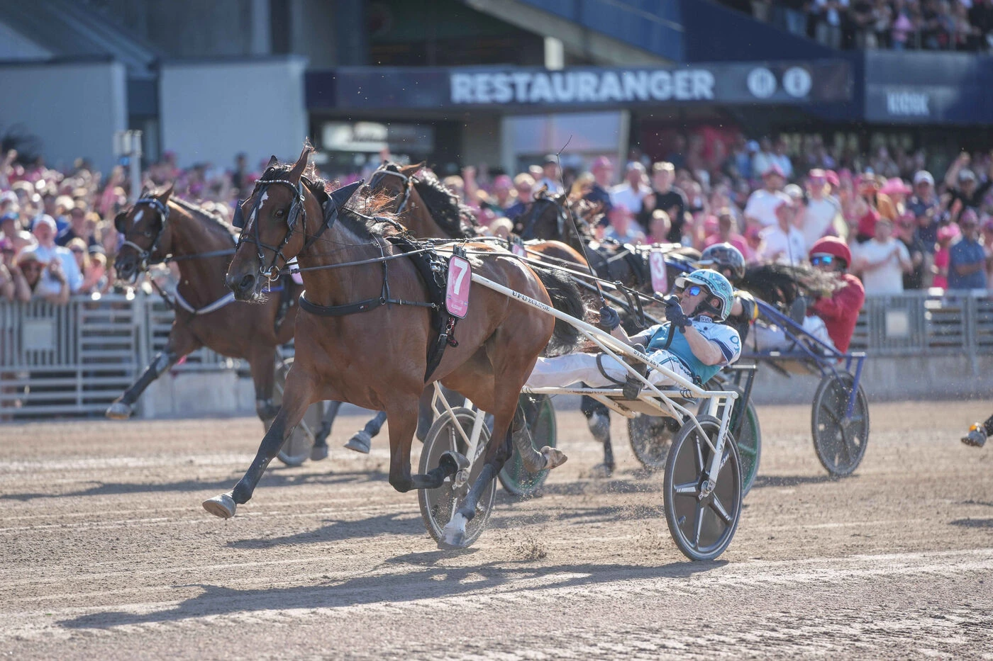 Elitloppet 2026 : la fusée Allegiant balaye les Français et permet à la Suède de renouer avec la victoire à domicile