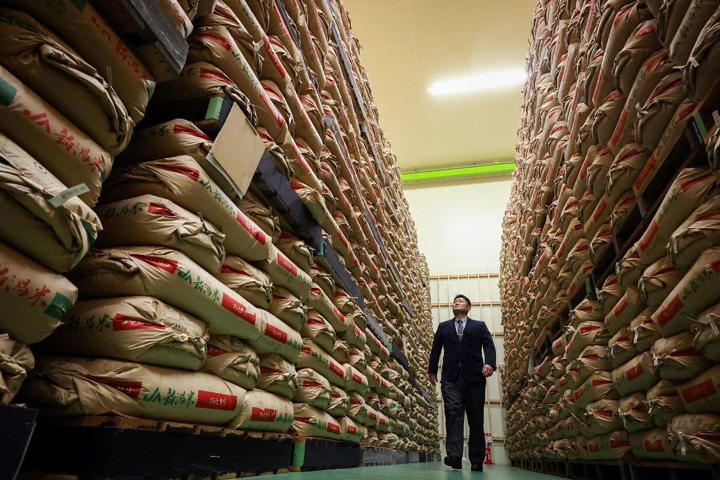 Au Japon, le gouvernement va vendre du riz de ses réserves directement aux détaillants