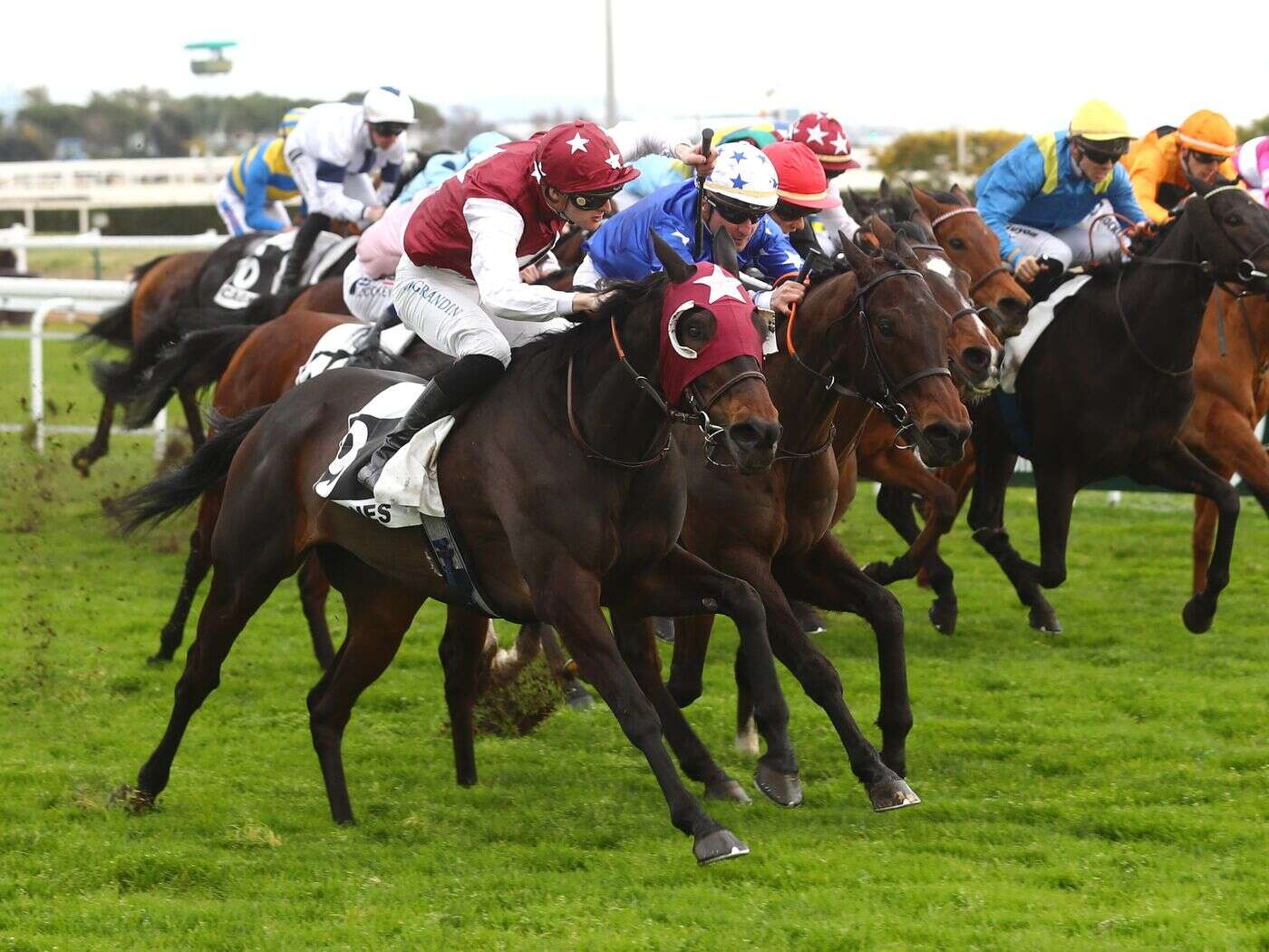 Arrivée du quinté du lundi 10 février à Cagnes-sur-Mer : Joh Spirit fait vibrer ses preneurs