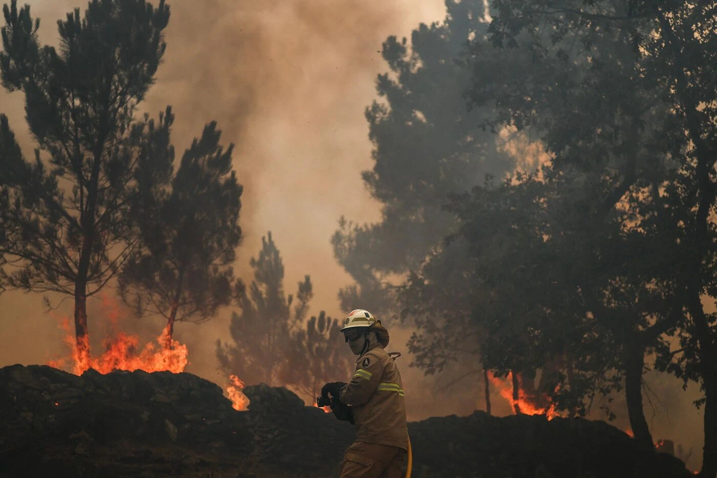 Incendies au Portugal : un pompier meurt en combattant le feu, le quatrième déjà cet été