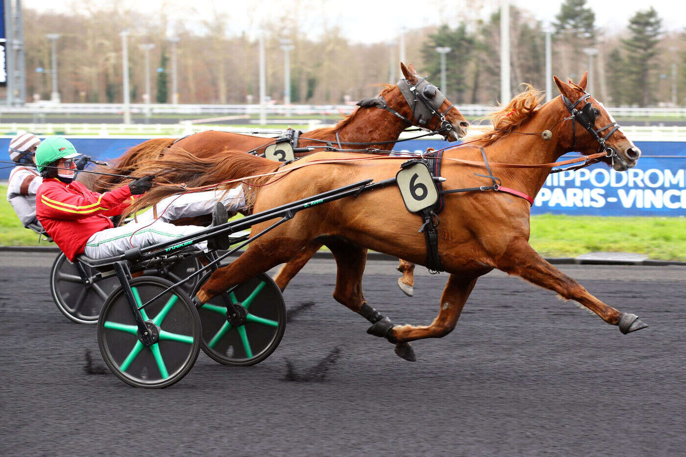 Arrivée du quinté du jeudi 30 janvier à Vincennes : le dernier mot pour Great Tigress