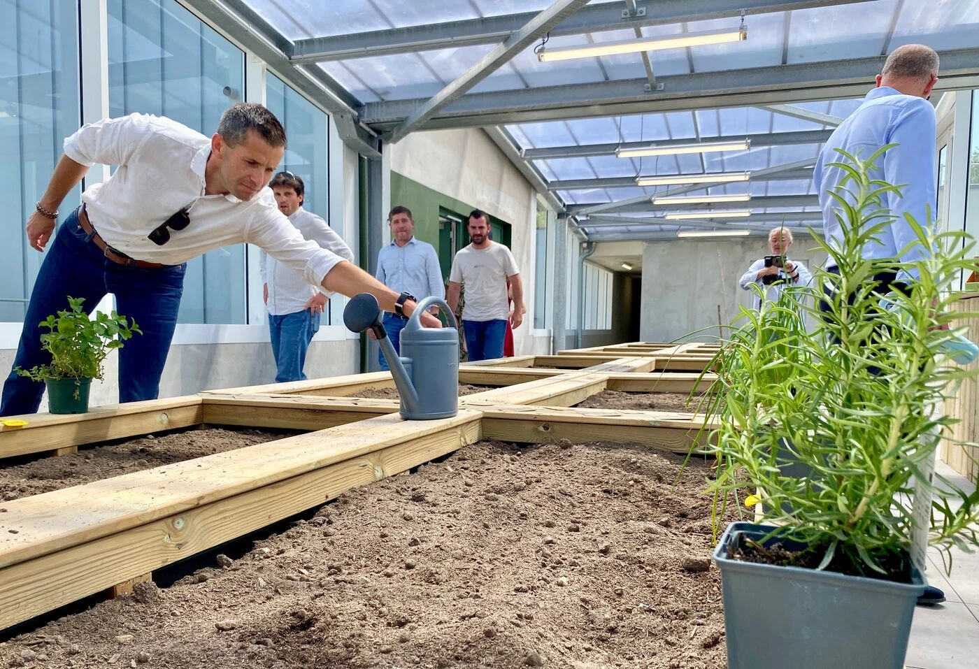 « Faire pousser ses tomates, ça peut être sympa» : à Dieppe des serres partagées sur le toit des nouveaux locataires