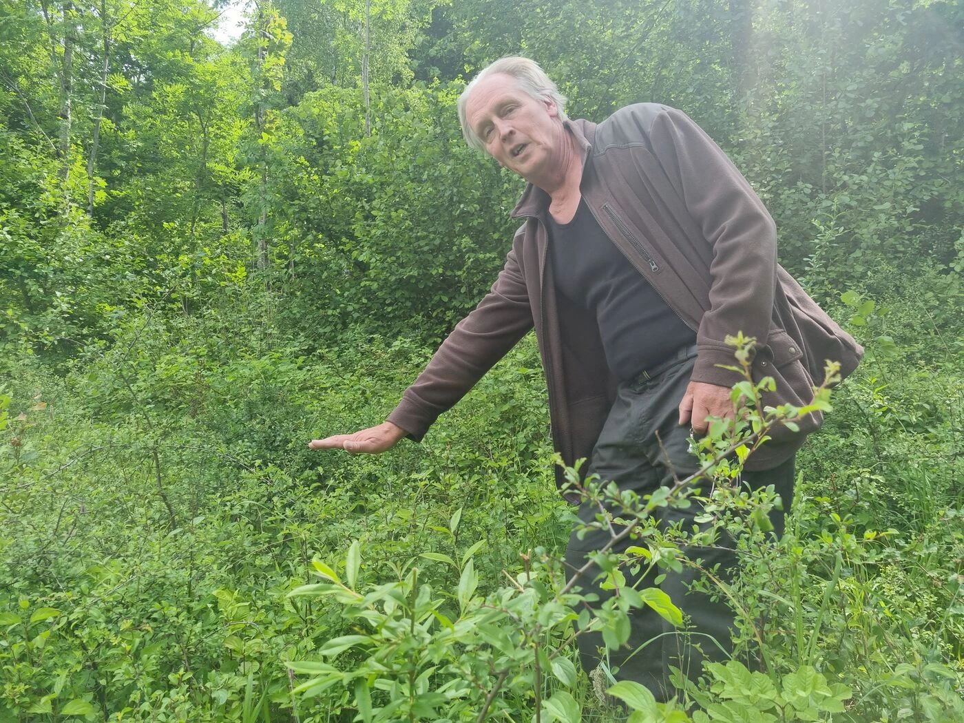 « Il y a trop de cerfs ! » : dans la Meuse, les propriétaires de forêts veulent s’allier avec les chasseurs