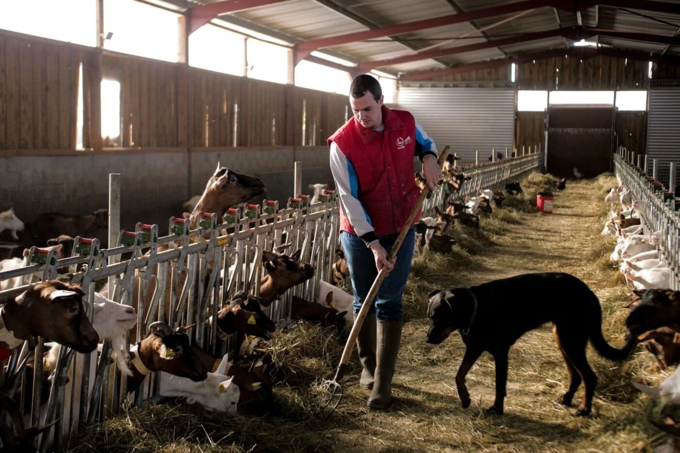 «Beaucoup de gens ignorent que l’eau agricole est facturée, elle n’est pas gratuite» : le Loiret renforce les restrictions d’eau face à la sécheresse