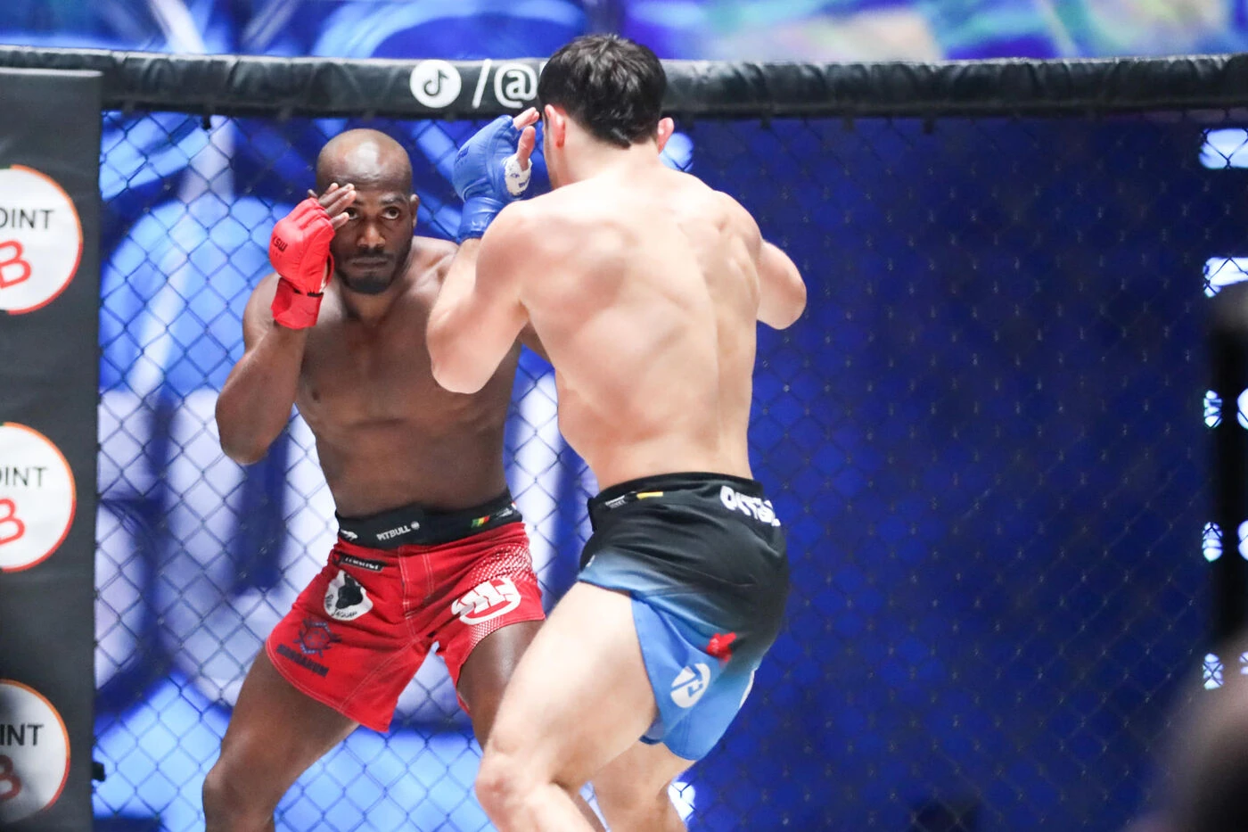 MMA : la vidéo du coup de genou dévastateur du Français Alioune Nahaye qui a séché Kacprzak au KSW Lyon