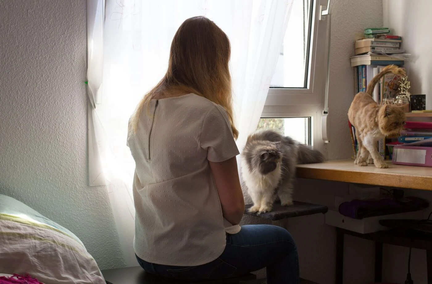 « Pas d’autre possibilité » : un violeur libéré après sa peine autorisé à habiter à Rennes, ville de sa victime