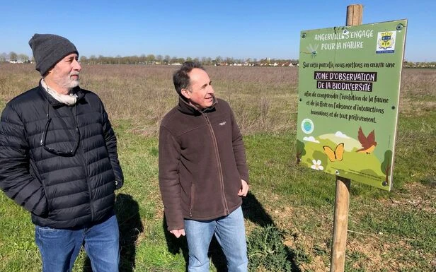 À Angerville, alouettes et rapaces sont de retour sur des terres préservées de toute activité humaine 