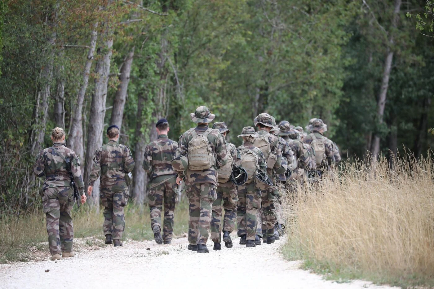 Guyane : une militaire française tuée par la chute d’un arbre « lors d’une marche d’instruction »
