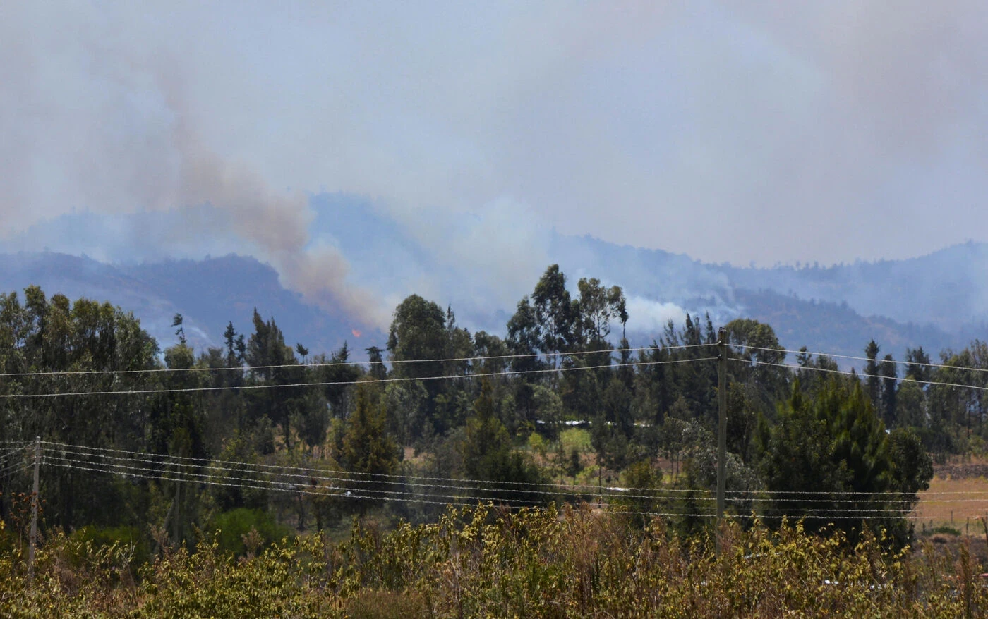 Un exercice militaire britannique avait provoqué un immense incendie au Kenya, 3,5 millions d’euros d’indemnisation versés