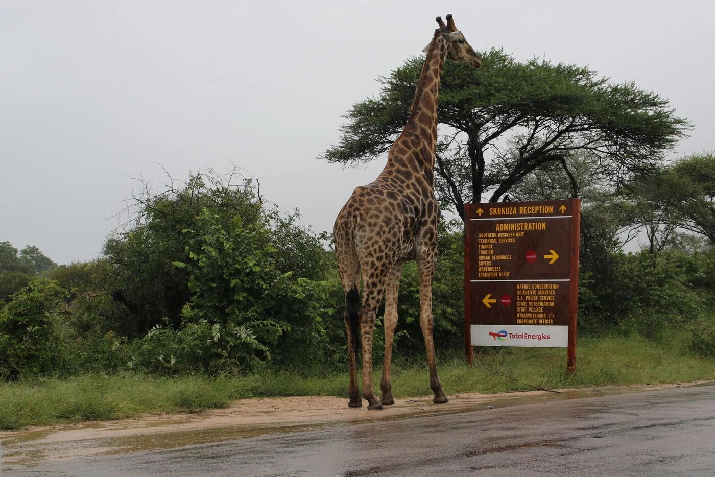 « Un couple charmant qui adorait les safaris » : qui sont les deux retraités sauvagement poignardés à mort dans le célèbre parc Kruger ?