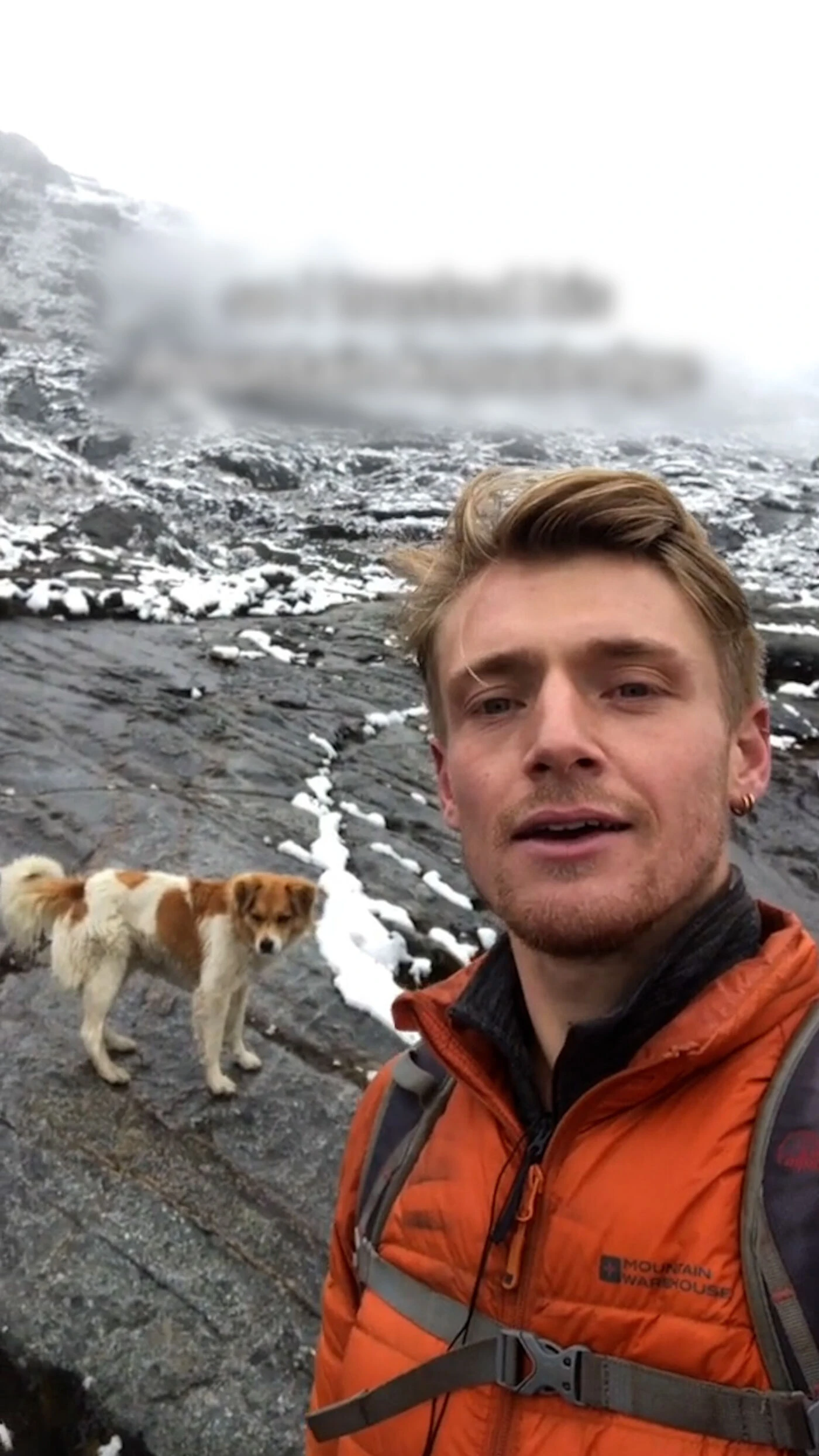 VIDÉO. Un chien errant sauve un randonneur perdu dans la montagne au Pérou