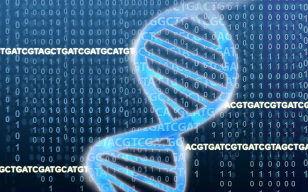 Des scientifiques publient un pangénome humain, la première carte de nos gènes dans toute leur diversité