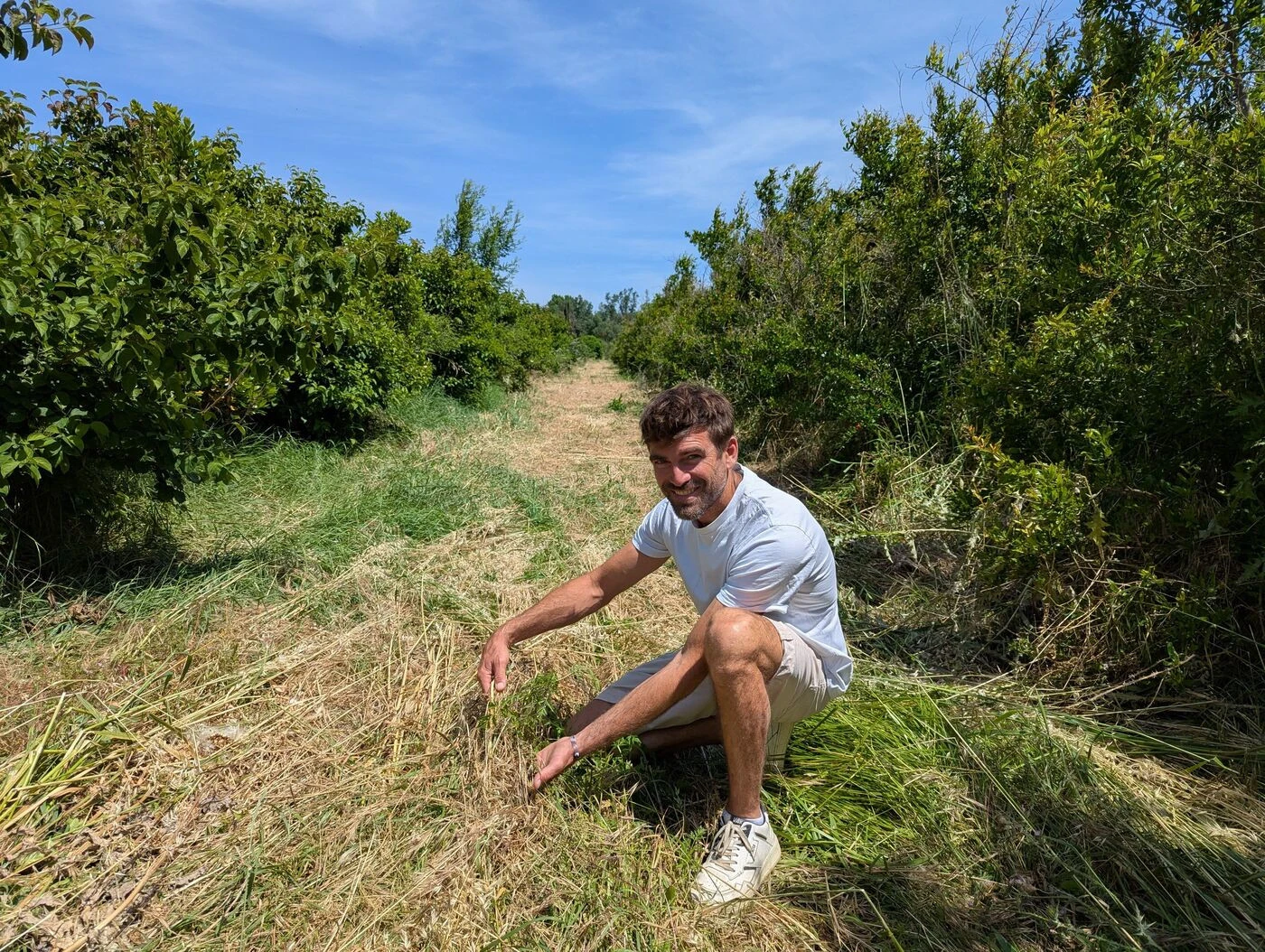 Le retour de l’eau dans les Pyrénées-Orientales : un soulagement après trois ans de sécheresse