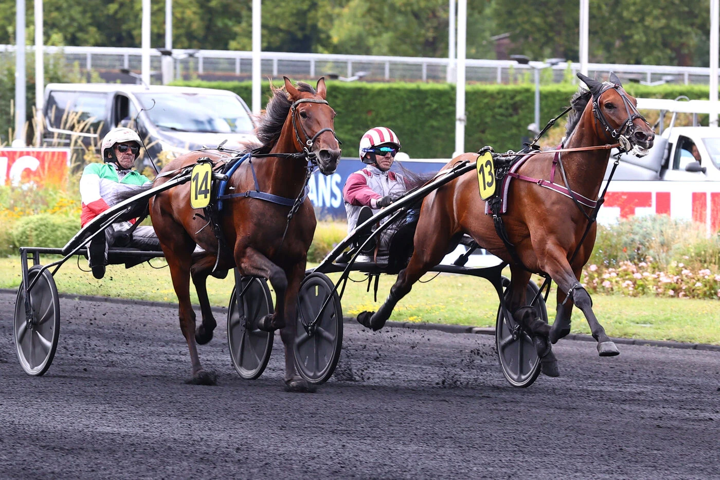 Arrivée du quinté du samedi 30 août à Paris-Vincennes : Magic Night persiste et signe