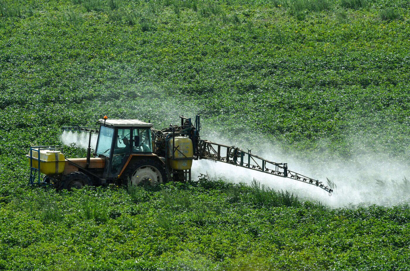 Agriculture : néonicotinoïdes, loi d’orientation… Le Sénat ouvre un long rallye législatif pour calmer la grogne