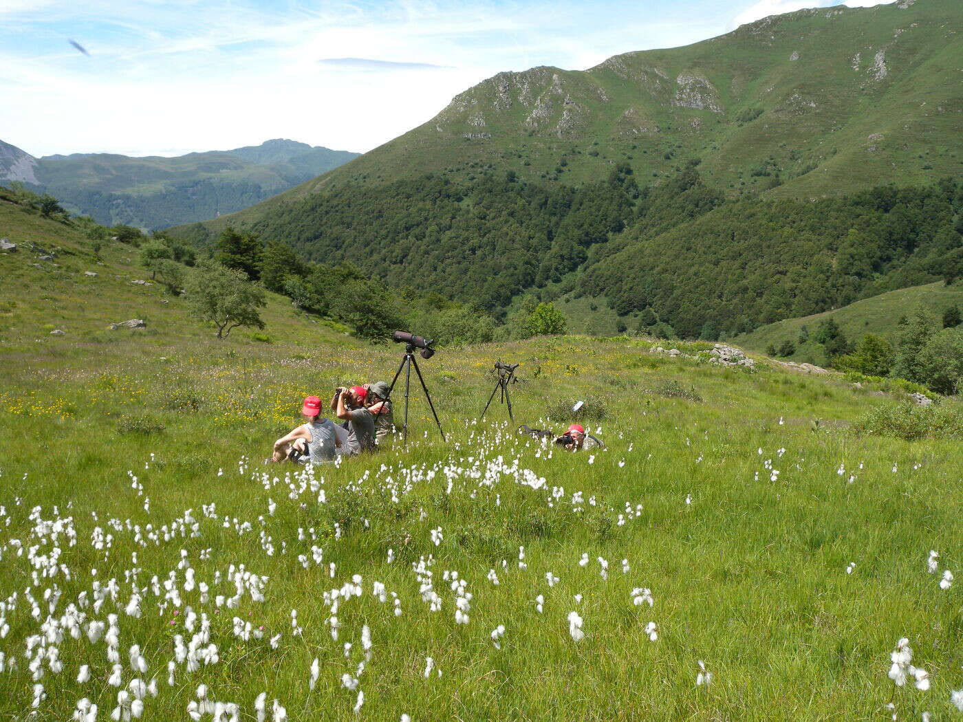 Protéger l’Auvergne : la sauvegarde de la biodiversité en actionContenu proposé par FRANCE ACTIVE