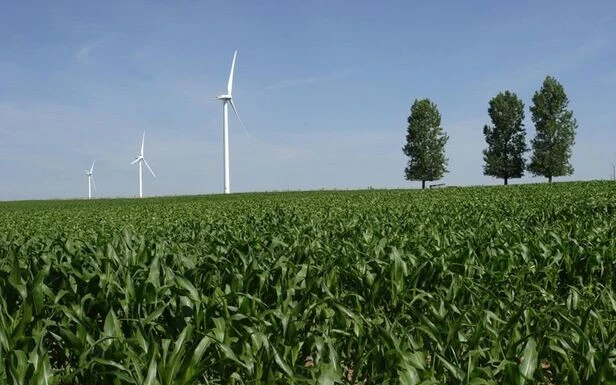 Implantation d’éoliennes : le Sénat accorde un droit de veto aux maires
