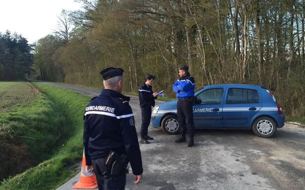 Sécheresse : dans les Yvelines, vous ne pouvez plus vous arrêter en voiture dans la forêt