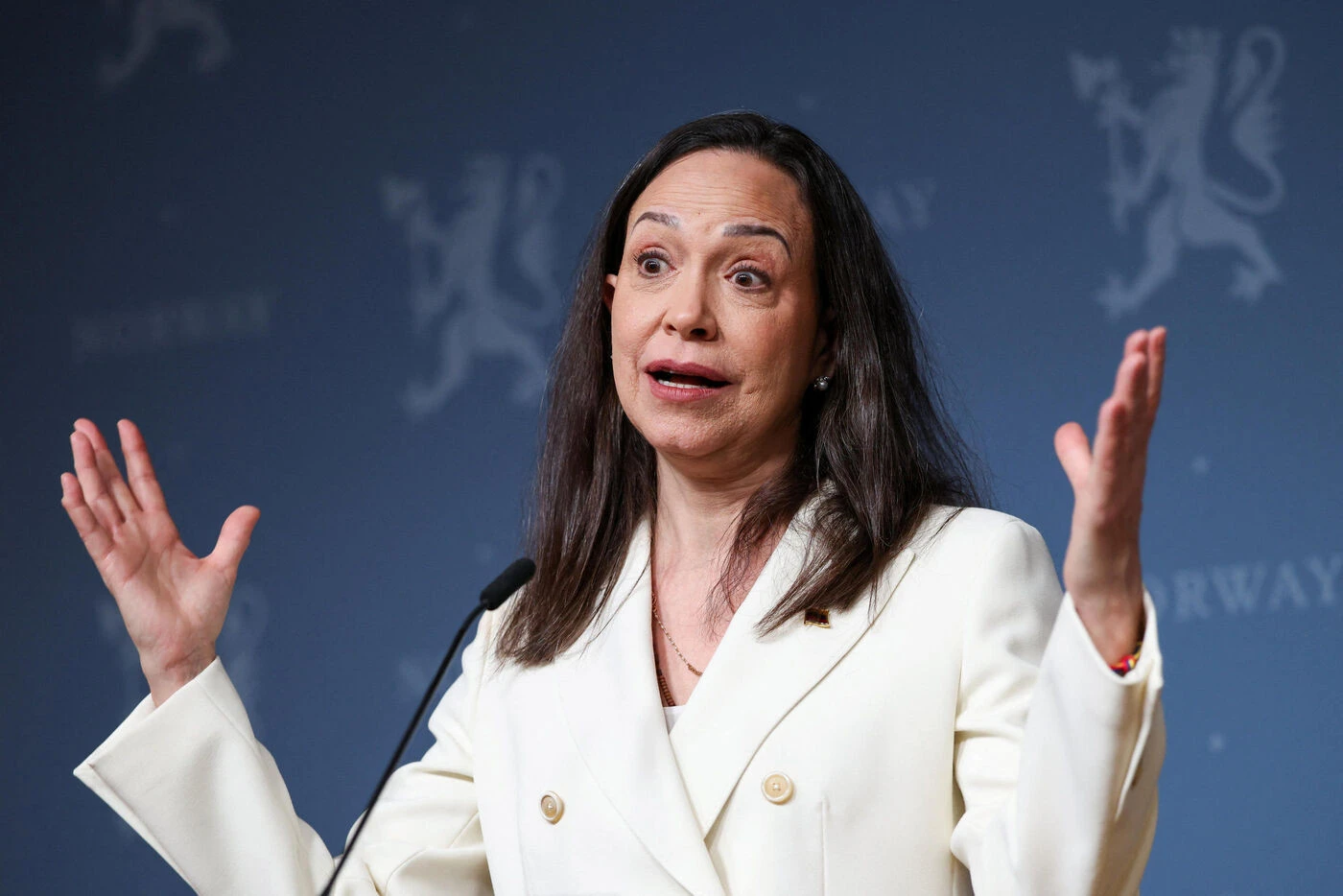 « Rétablir la démocratie au Venezuela » : la Prix Nobel de la Paix veut négocier une transition avec la présidente par intérim