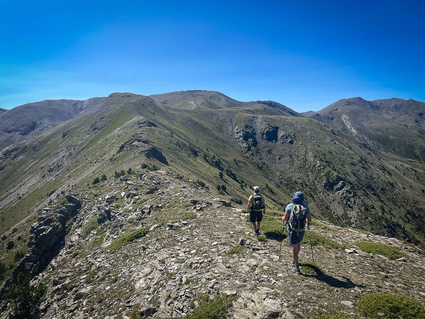 Dermatose bovine : faut-il restreindre la circulation des randonneurs dans les Pyrénées ?