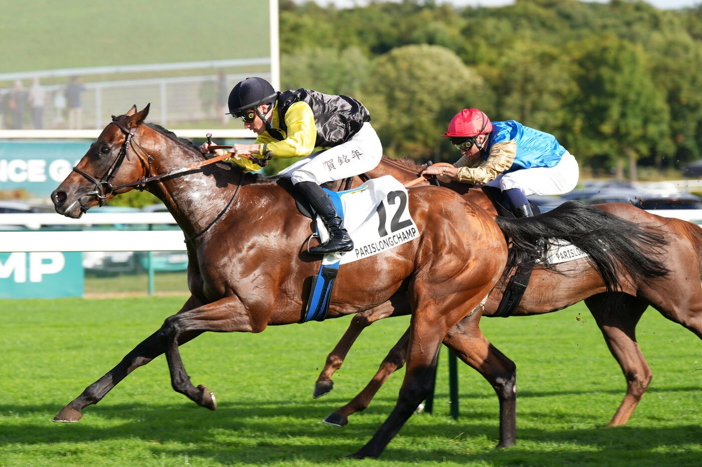Arrivée du quinté du jeudi 4 septembre à ParisLongchamp : Les outsiders à la fête