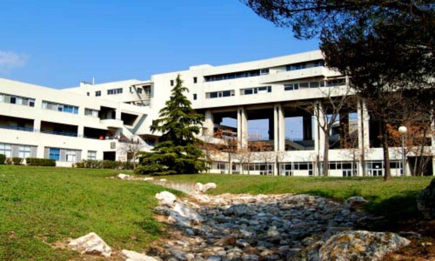 Centrale Marseille : l’école fait un signalement pour croix gammée et propos racistes lors des élections étudiantes