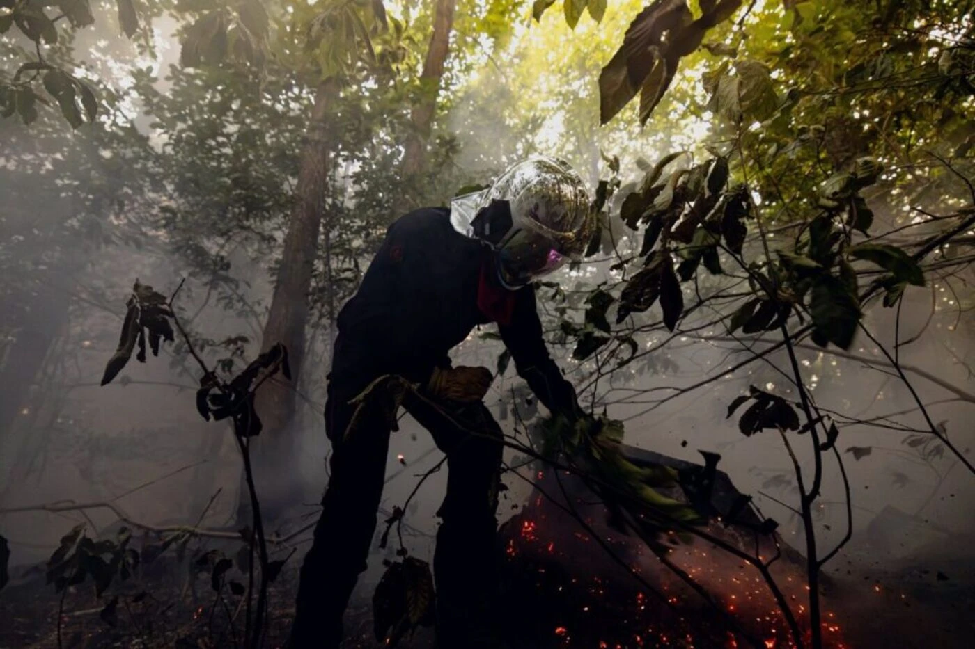 Hauts-de-Seine : un feu ravage 2 000 mètres carrés en forêt de Meudon