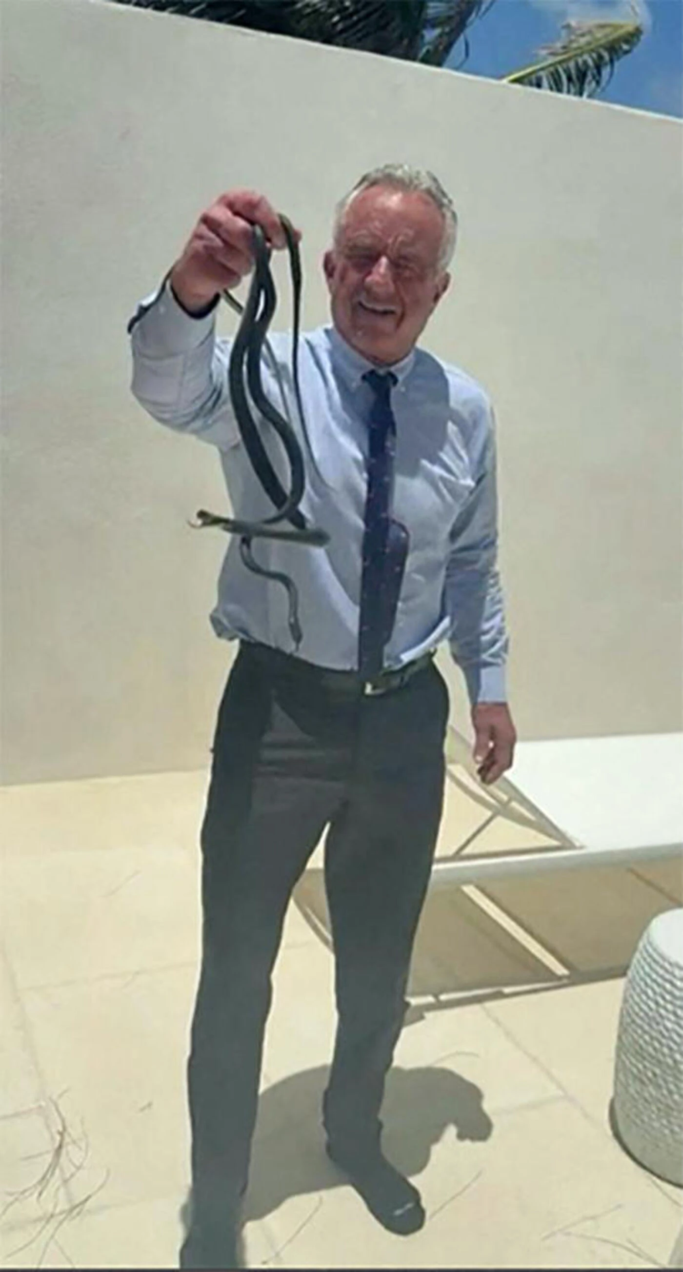 « Inoffensif tant qu’on ne le dérange pas » : Robert Kennedy Jr attrape un serpent à main nue, et autres histoires animalières
