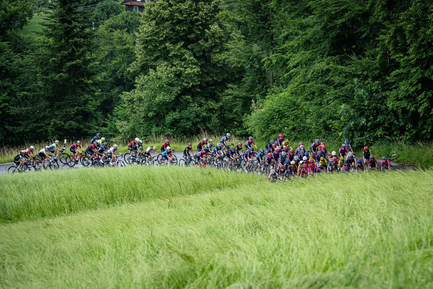 Vuelta Junior : le jeune coureur Ivan Melandez Luque, 17 ans, est mort après une violente chute