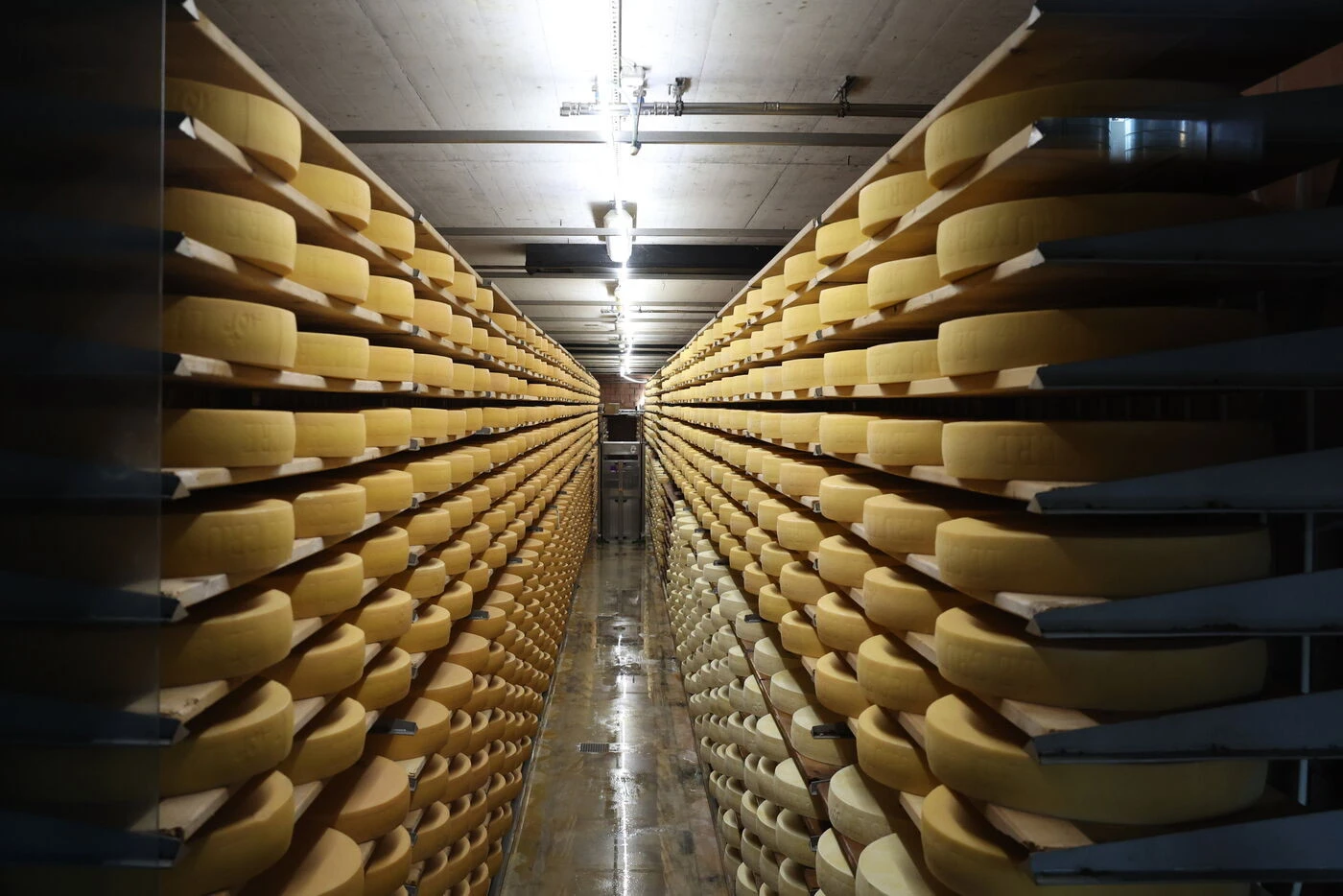 200 tonnes de fromages de Savoie bloquées après la détection de cas de dermatose nodulaire contagieuse