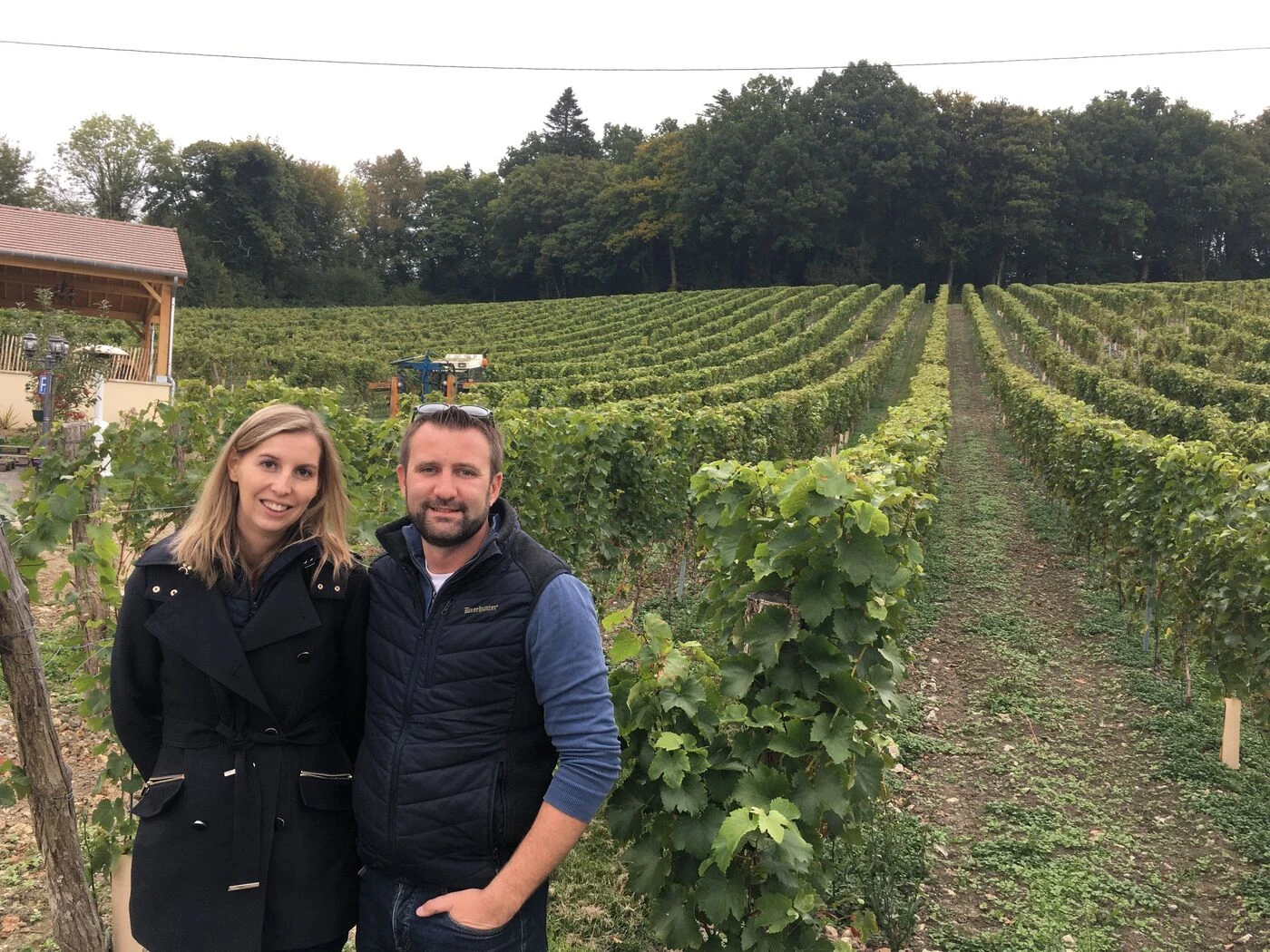 « La vigne dépasse nos espérances » : première récolte pour un viticulteur parti de Saumur pour parier sur le Calvados