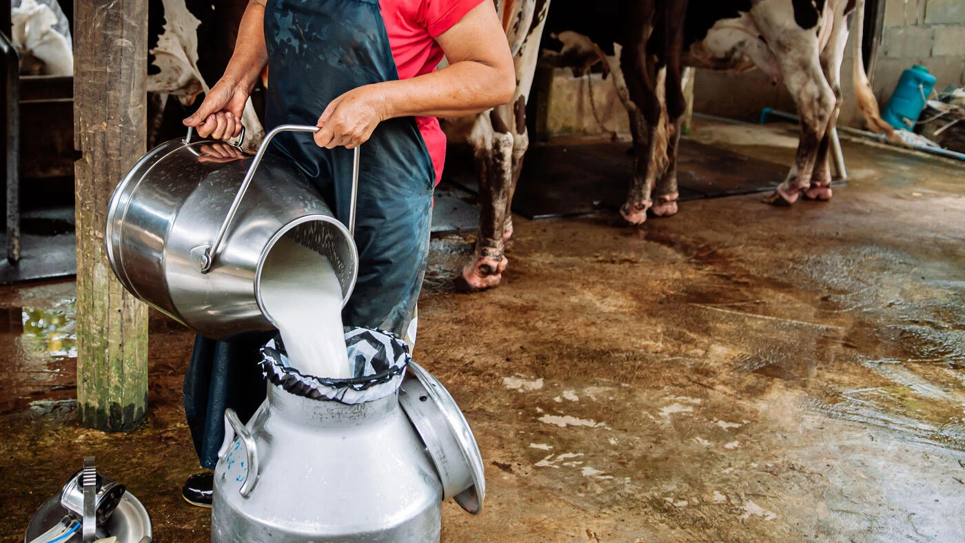 « Le symbole d’une agriculture qui se meurt dans nos villages » : Cahagnes, dans le Calvados, dit adieu à sa laiterie