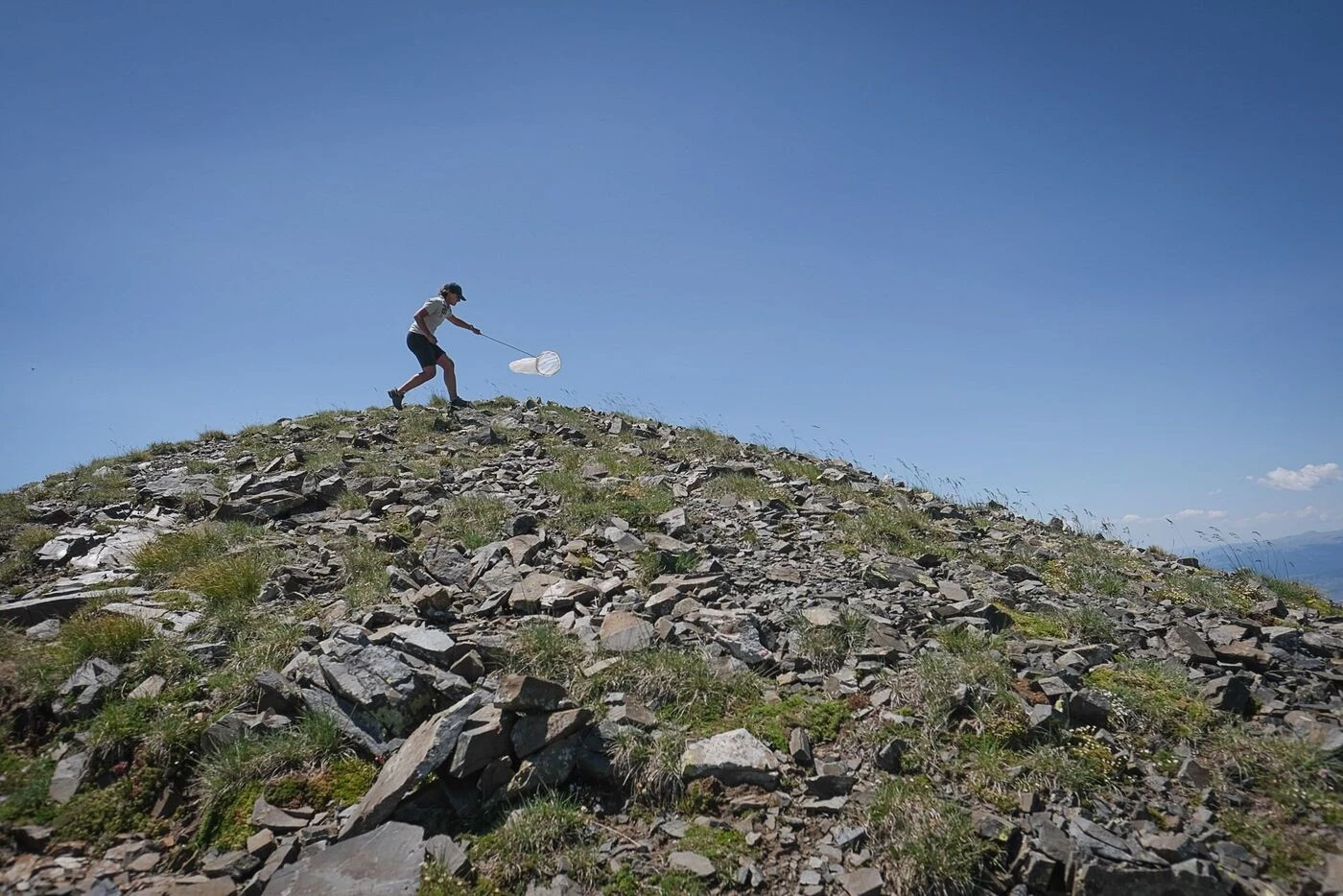 Pyrénées-Orientales : des scientifiques mesurent l’impact du changement climatique sur la biodiversité à 2 400 m d’altitude