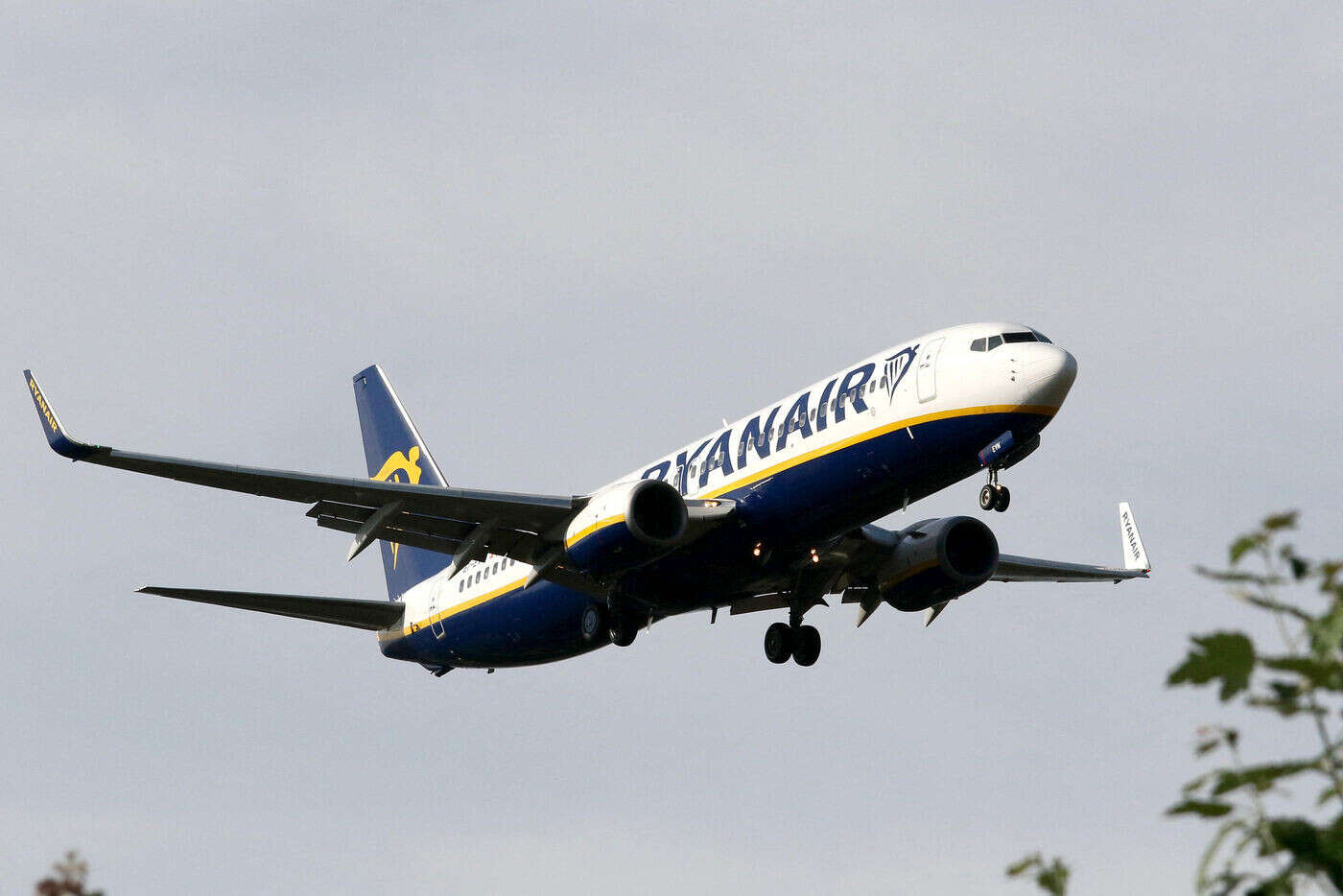 « Des frais ridicules » : Ryanair fait payer 60 euros à une passagère pour une gourde