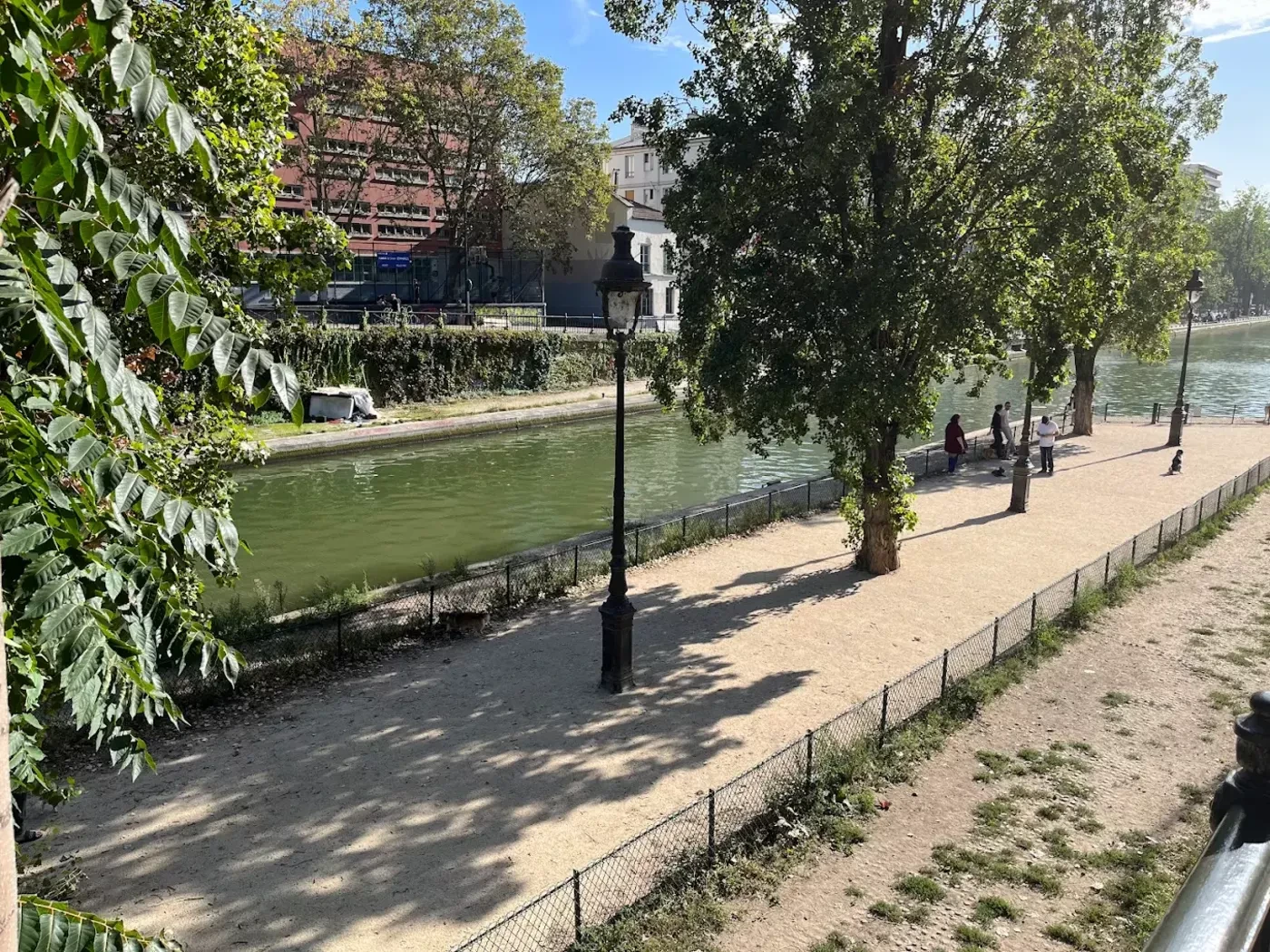 Paris : quatre peupliers abattus en urgence après une faute de l’entreprise de travaux