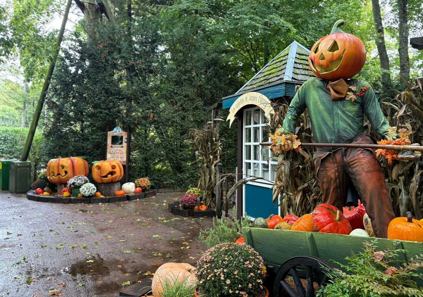 Aube : les 60 tonnes de citrouilles qui orneront Nigloland pour Halloween proviennent de circuits courts