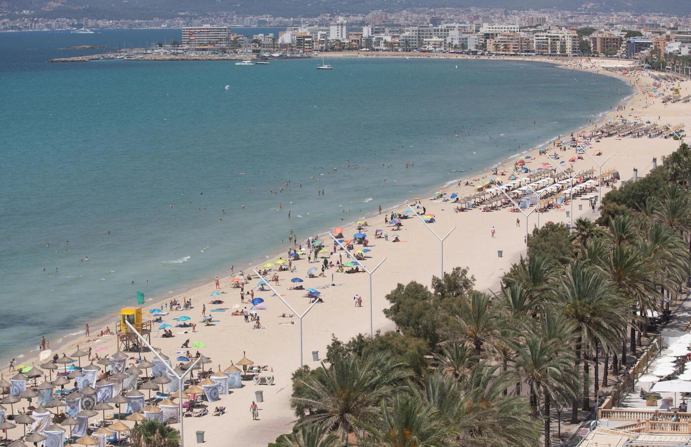 « Je n’avais jamais rien vu de tel » : une plage évacuée à Majorque après l’attaque d’un mystérieux poisson sur une octogénaire