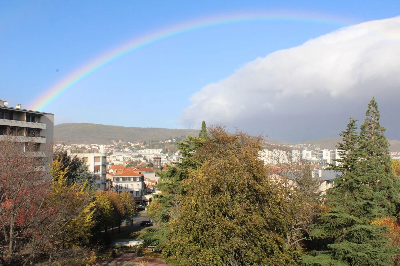 Chênes, érables, tilleuls, pommiers… À Chamalières, la mairie paye la moitié de votre arbre !