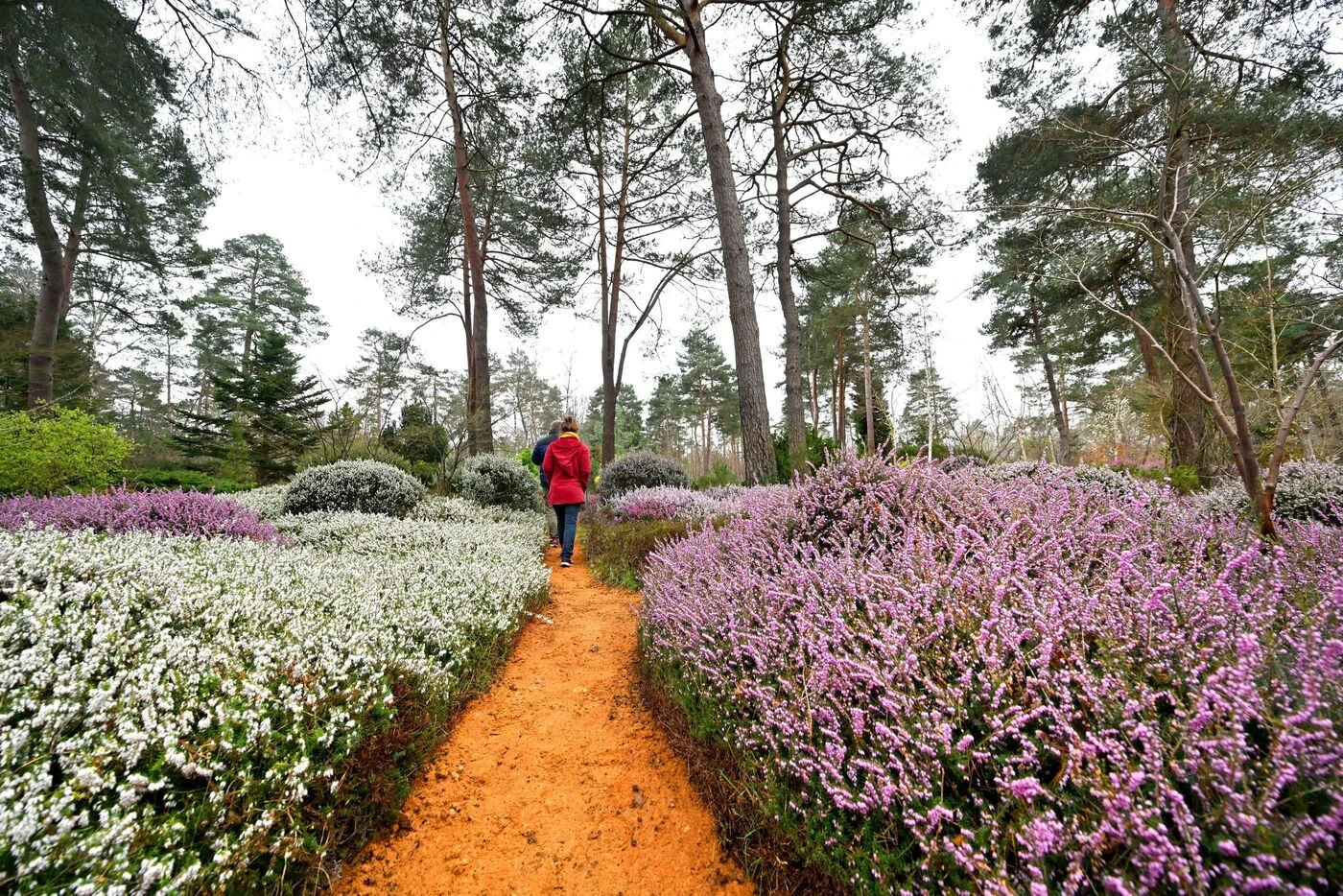 Une navette au départ d’Orléans pour desservir et doper deux sites touristiques du Loiret
