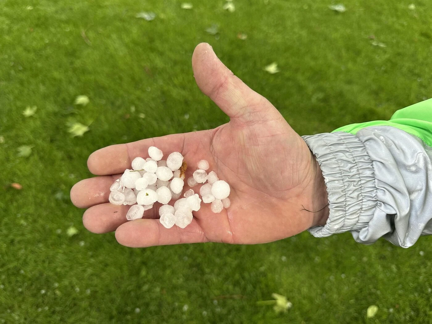 Orage de grêle dévastateur et localisé en Champagne : « Ça fout en l’air toute une récolte »