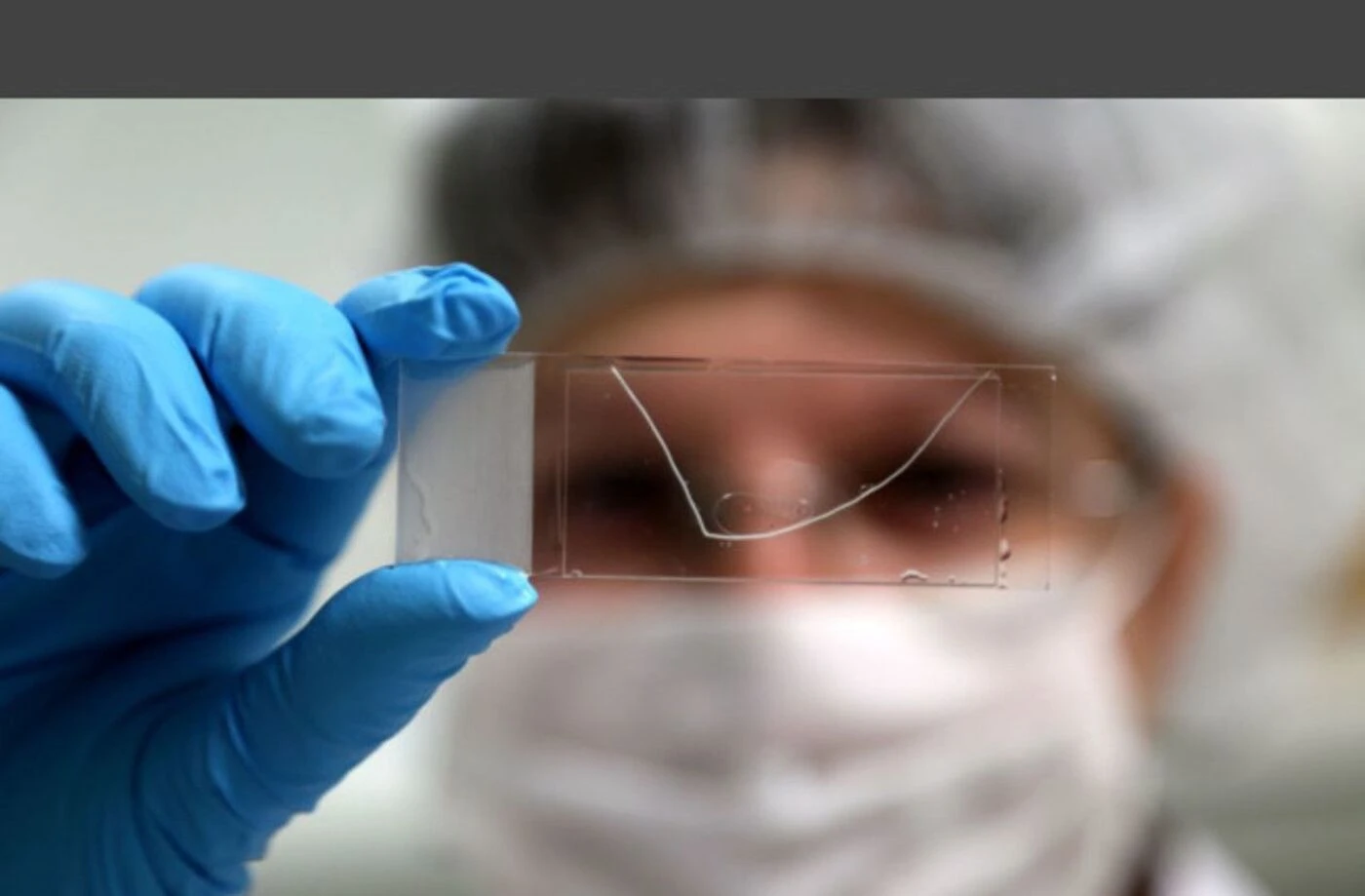 La Ferté-Gaucher : le suspect d’un meurtre identifié et écroué plus de dix ans après les faits