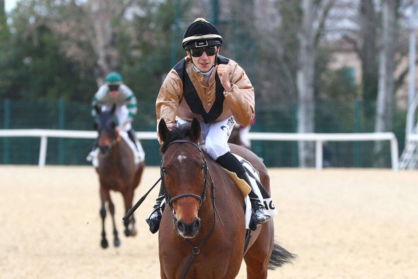 Arrivée du quinté du mardi 25 février à Cagnes-sur-Mer : Morsan ou la victoire d’un travailleur acharné