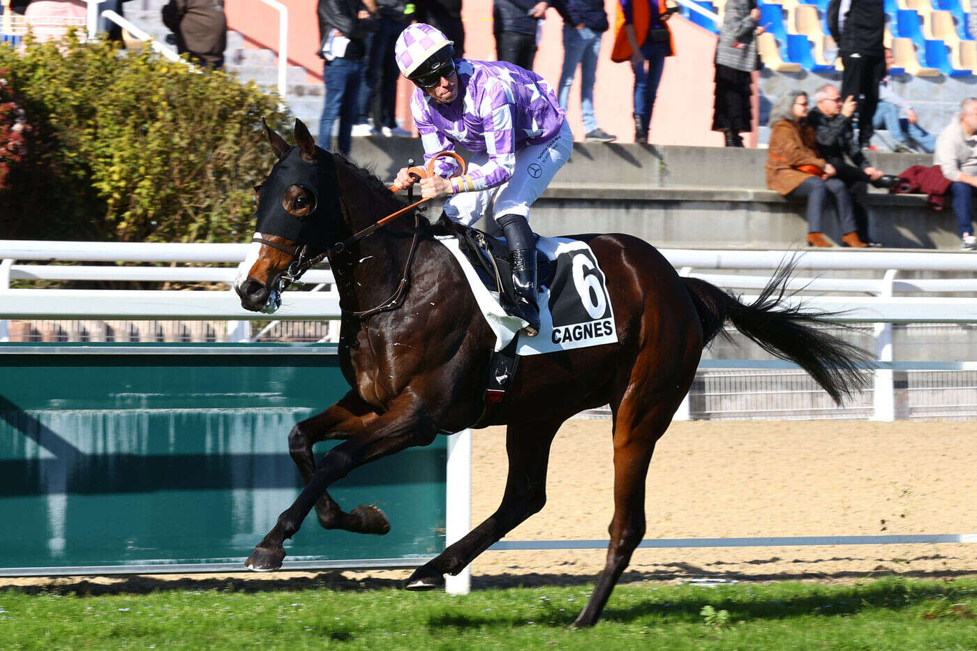 Arrivée du quinté du lundi 3 février à Cagnes-sur-Mer : American Glory ridiculise l’opposition