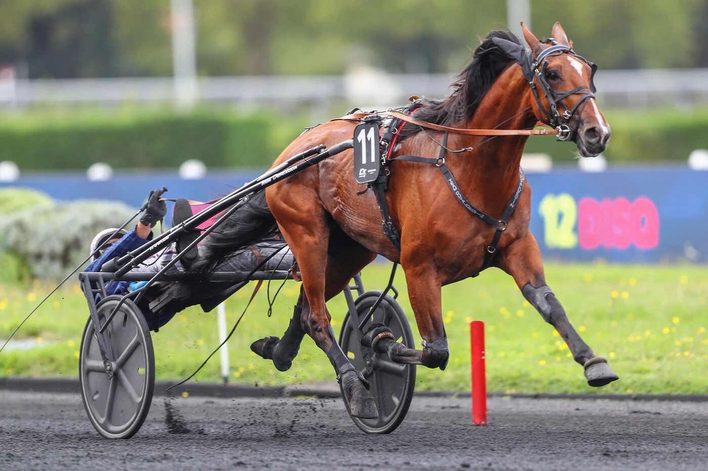 Arrivée du quinté du samedi 13 septembre à Vincennes : Lancier du Goutier remporte le Critérium des 4 Ans