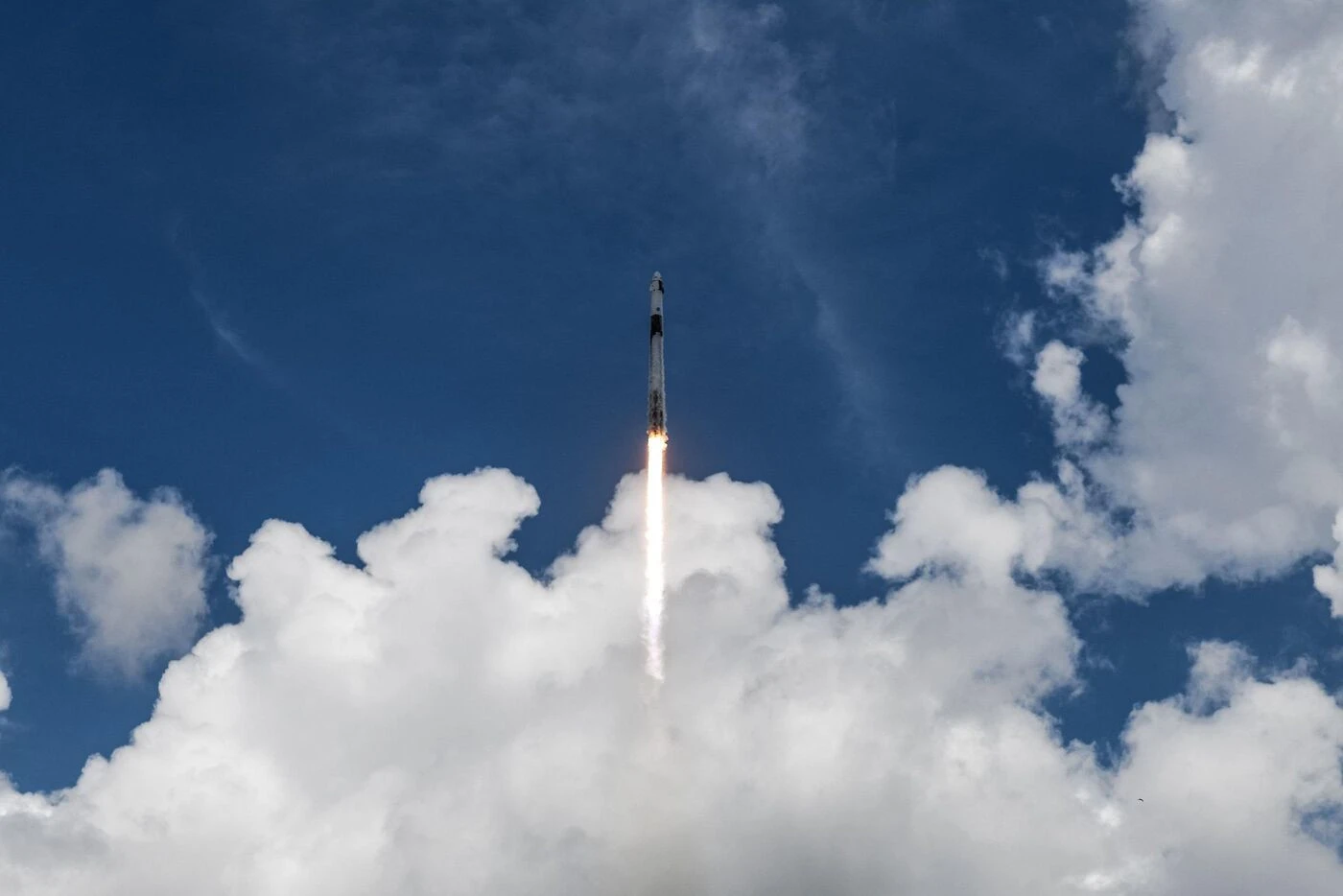 « Très heureux de nous joindre à vous » : la capsule Crew Dragon de Space X s’arrime à l’ISS avec quatre personnes à bord