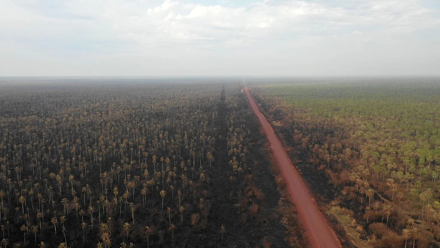 « Les premières à montrer cette réaction au changement climatique » : en Australie, des forêts qui émettent plus de CO2 qu’elles n’en absorbent
