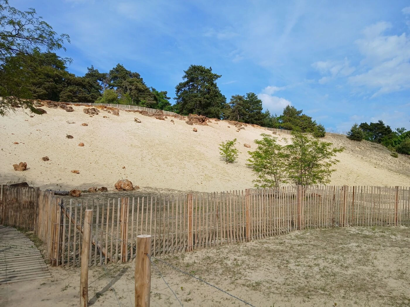 « On n’en fermera jamais l’accès » : la sablière de Châlons-sur-Vesle, une oasis protégée à visiter !