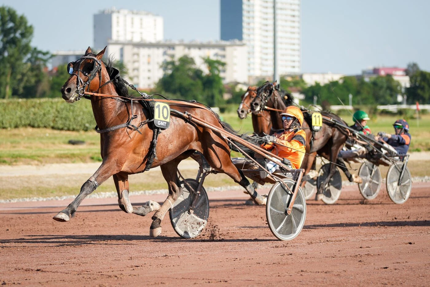 Arrivée du quinté du mercredi 18 juin à Toulouse : Indy de Jyr fait coup double