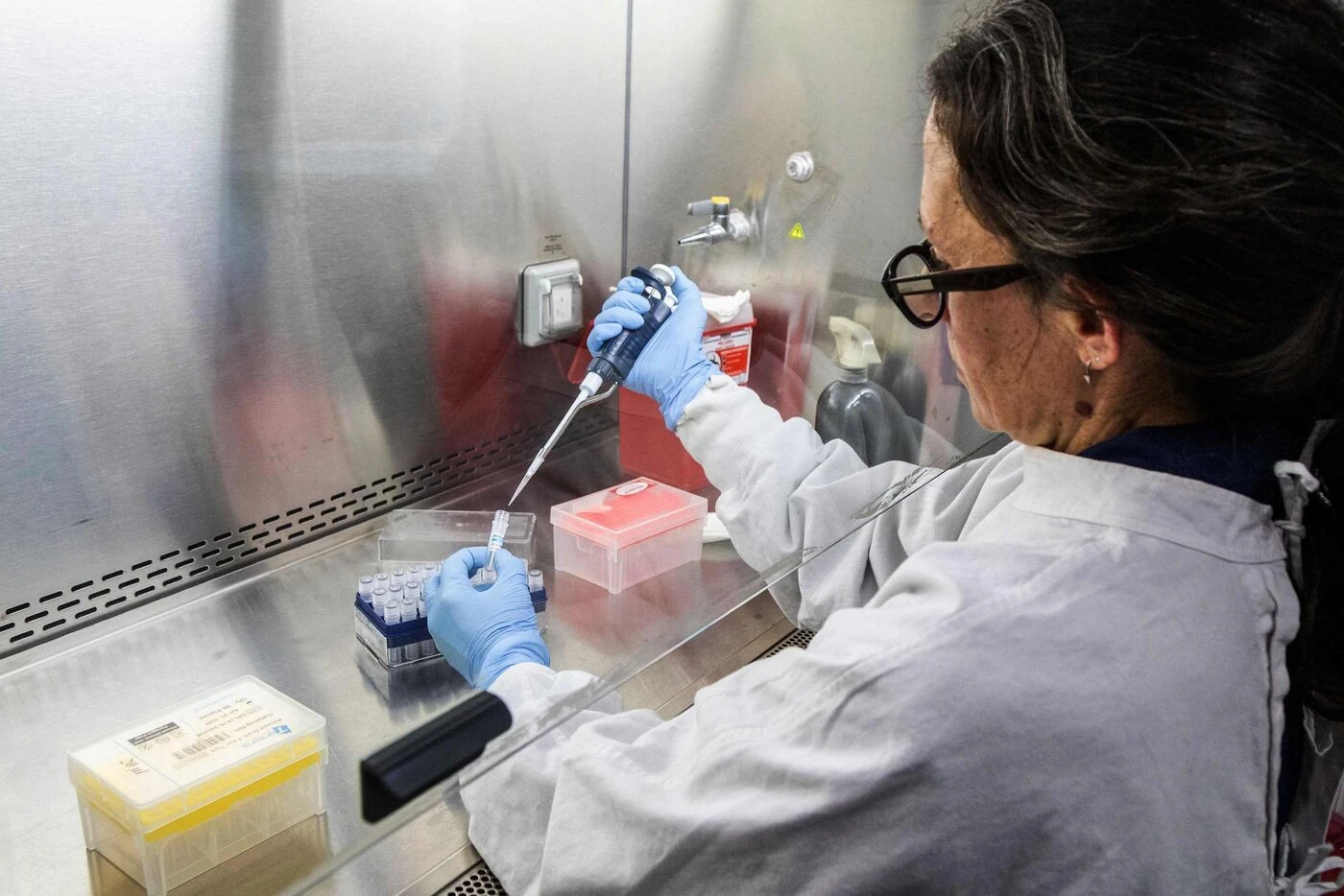 Hantavirus : « Aucun symptôme parmi les 26 cas contacts » français, les quatre enfants testés négatifs